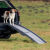 chiens-trixie-rampe-pliable-petwalk-3-parties-86680967268-370x370.jpeg