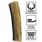 Bois de Cerf pour gros chien XL