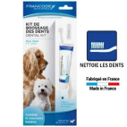 Brosse à dent chien
