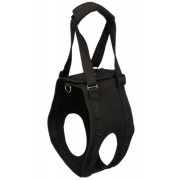 Harnais chien handicapé