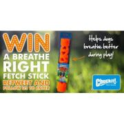 Jouet Chuckit Breathe Right