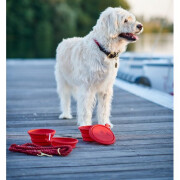 Gamelle pliable List rouge x 2 pour chien