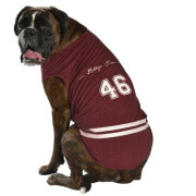 Tee shirt Baseball bordeaux