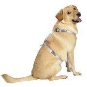 Harnais Camouflage gris