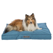 Coussin Talis bleu, déhoussable, toutes tailles XXL