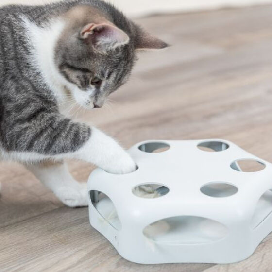 Jouet Turning Feather