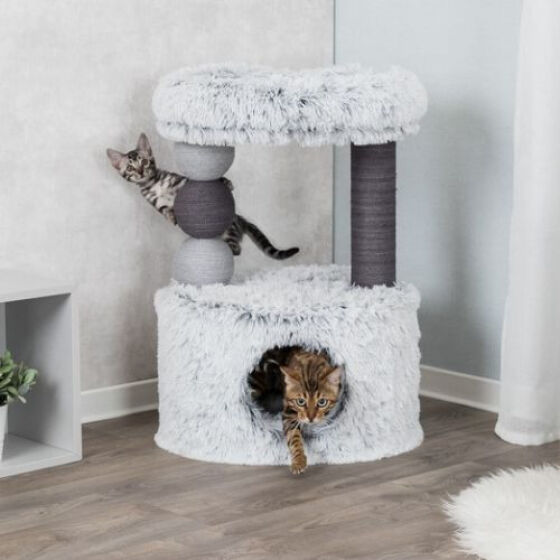 Arbres à chats originaux avec panier anti stress Harvey