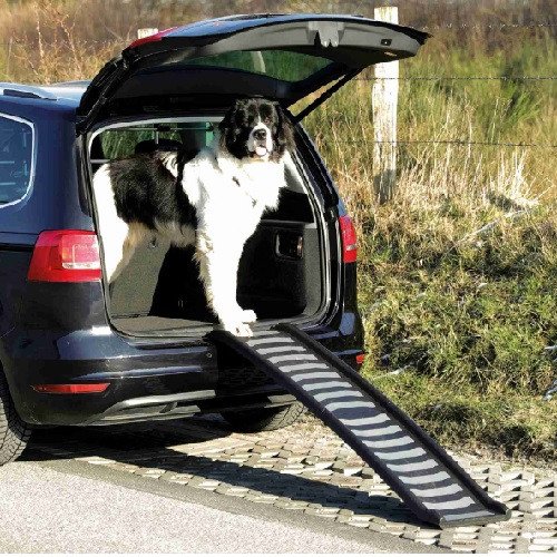 Rampe Pour Chien Pliable 190 Cm - Portable, Support Jusqu'à 180 Kg, Pour Voiture, SUV, Camion