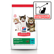 Alimentation : Croquettes chaton Thon 