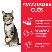 Croquette Feline Adult Oral Care