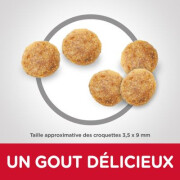 Croquettes Hill's pour chat senior Poulet