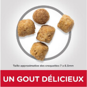 Croquettes pour chat senior stérilisé