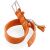 Collier chien cuir Cannes orange