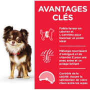 Croquettes Adult Light Small & Mini Poulet