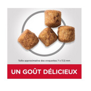 Croquettes Adult Light Large Breed Poulet 
