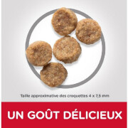 Croquettes Mature Adult 7+ Small & Mini Poulet 