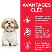 Croquettes Mature Adult 7+ Small & Mini Poulet 