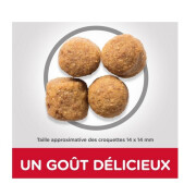 Croquettes Adult Large Breed Poulet