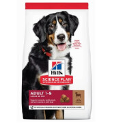 Croquettes Adult Large Breed Agneau & Riz