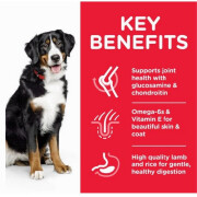 Croquettes Adult Large Breed Agneau & Riz