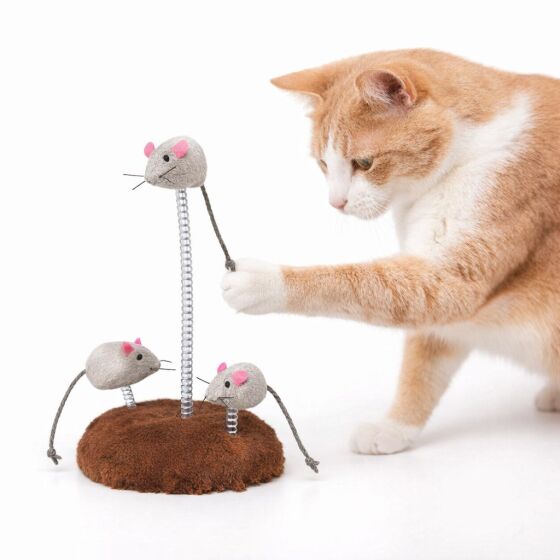 Souris sur ressorts en spirale