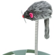 Jouet Crazy Circle pour chat