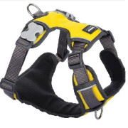 Harnais pour chien Rembourré JAUNE