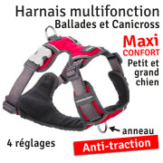 Harnais pour chien Rembourré ROUGE