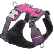 Harnais pour chien Rembourré ROSE