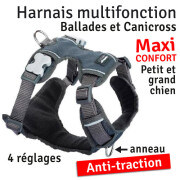 Harnais pour chien Rembourré GRIS
