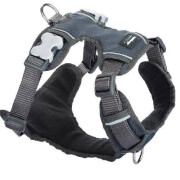 Harnais pour chien Rembourré GRIS