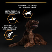 Large Athletic Adult poulet Optibalance