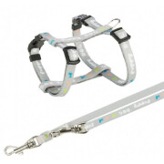 Pack harnais Junior gris