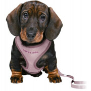 Harnais Baby mauve avec laisse
