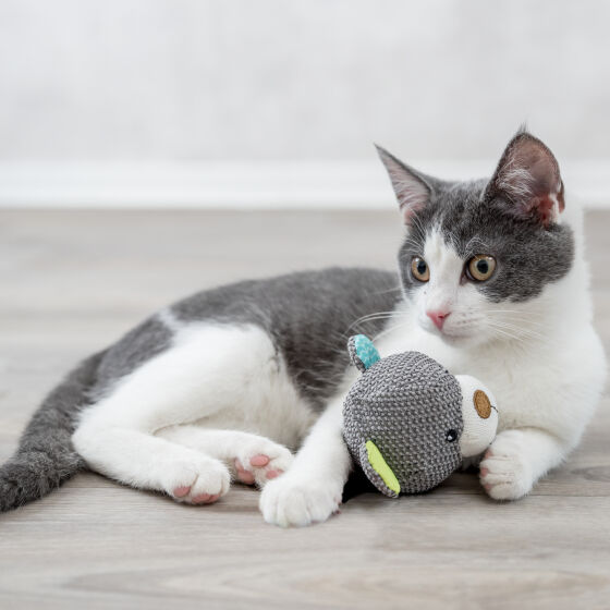 Doudou Junior My Catnip