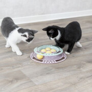 Jouet Junior Kitten Circle