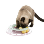 Jouet Junior Kitten Circle