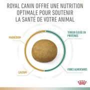 ROYAL CANIN Urinary chat :  S/O, Croquettes Problème Urinaire
