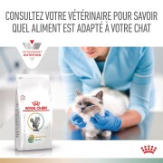 ROYAL CANIN Urinary chat :  S/O, Croquettes Problème Urinaire