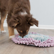 Tapis de fouille chiot