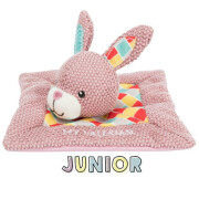 Coussin valériane chat et chaton My Valerian