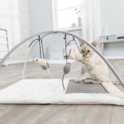 Tapis griffoir chaton