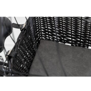 Panier porte-bagages pour chien Noir