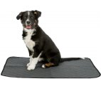 Tapis absorbant chien
