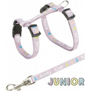 Harnais chaton de 3 mois ou 2 mois laisse