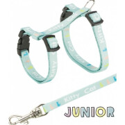 Harnais chaton 2 ou 3 mois laisse bleu