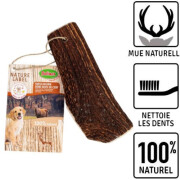 Bois de Cerf coupé en 2