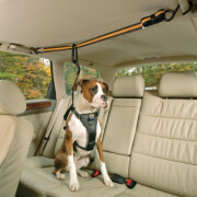 Tyrolienne sécurité voiture Zip Line noire