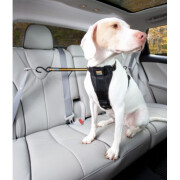 Tyrolienne sécurité voiture Zip Line noire