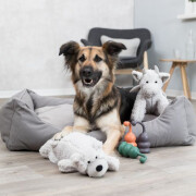 Panier Be Eco Danilo